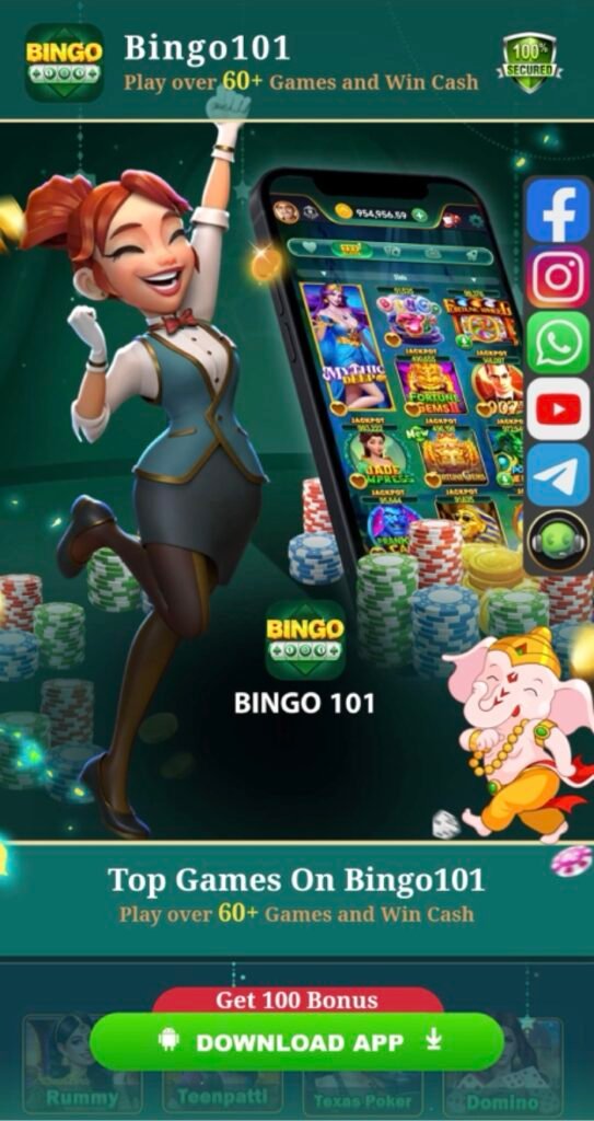 bingo tingo canva